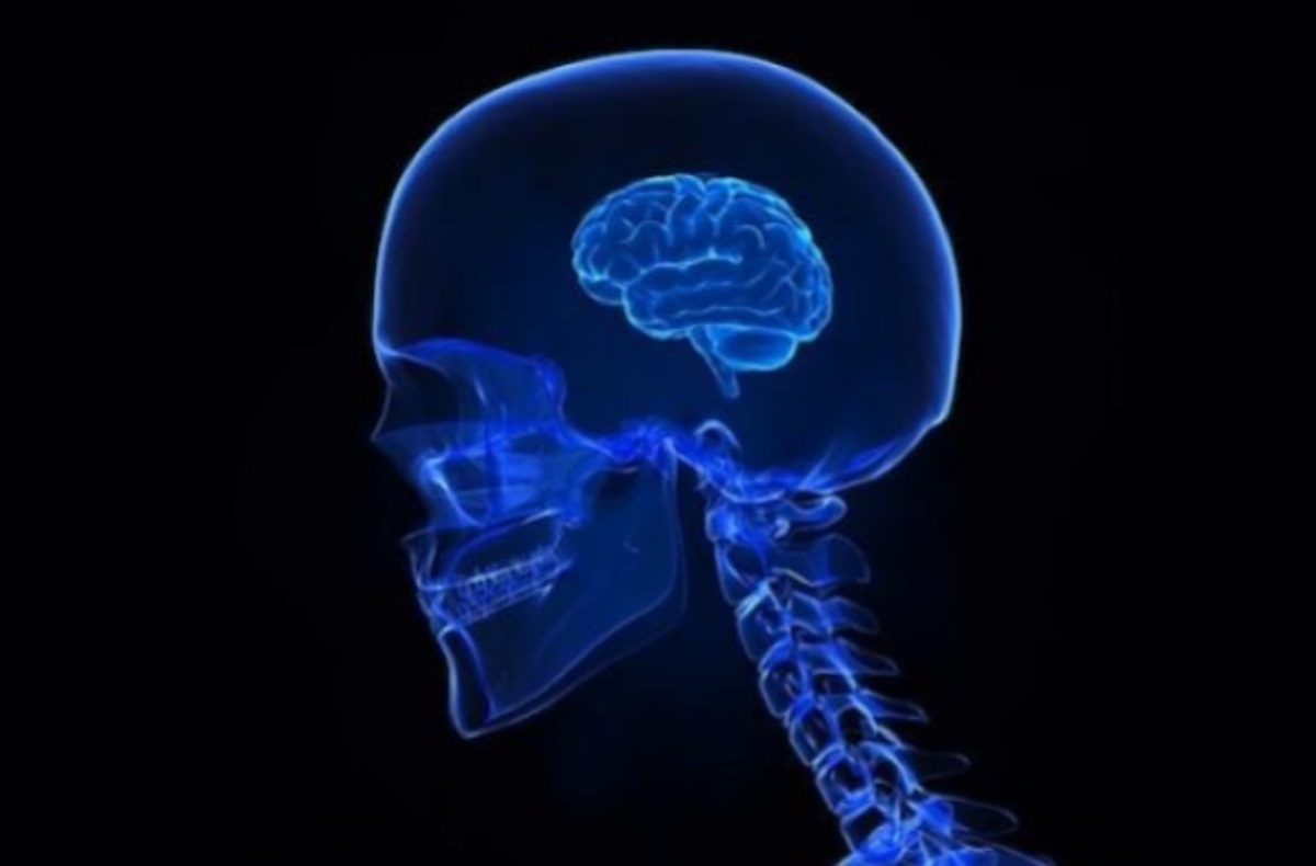 মস্তিষ্ক সুস্থ রাখতে এই তিন খাদ্যাভ্যাস থেকে দূরে থাকুন