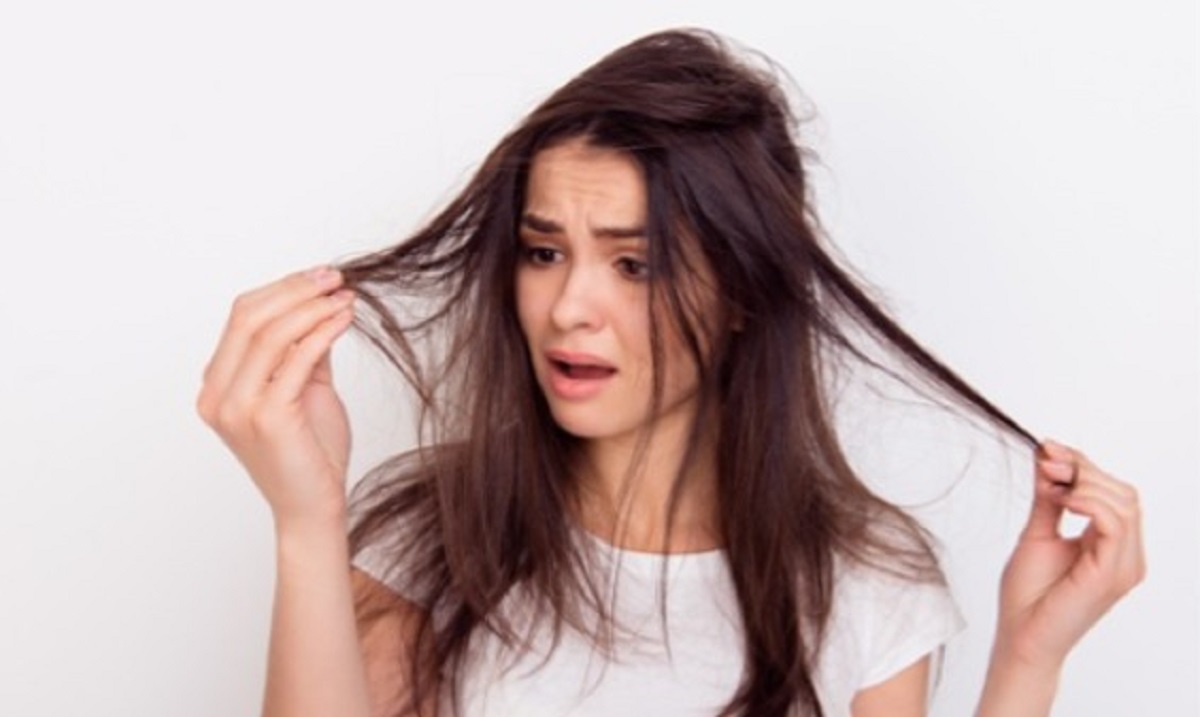 দূষণের দাপটে রুক্ষ চুল! ঘরোয়া উপায়ে বাঁচান চুল