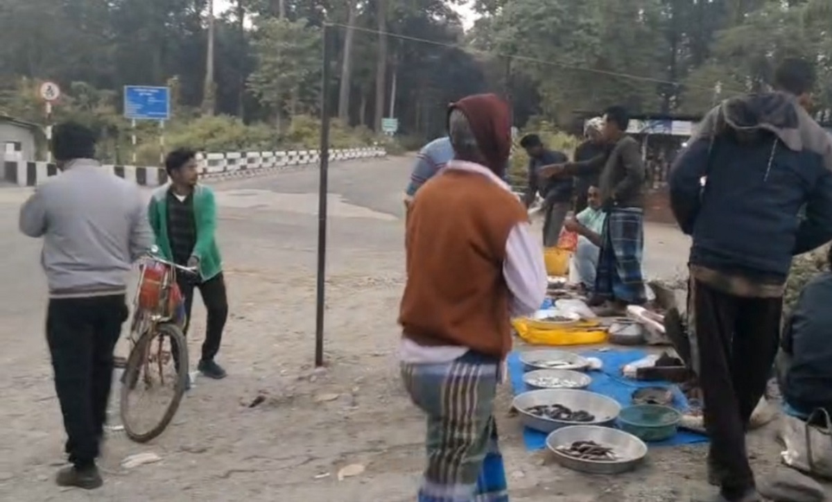 শীতের আগমনেই নতুন প্রাণ ফিরে পেয়েছে ক্রান্তি ব্লকের কাঠামবাড়ী এলাকা