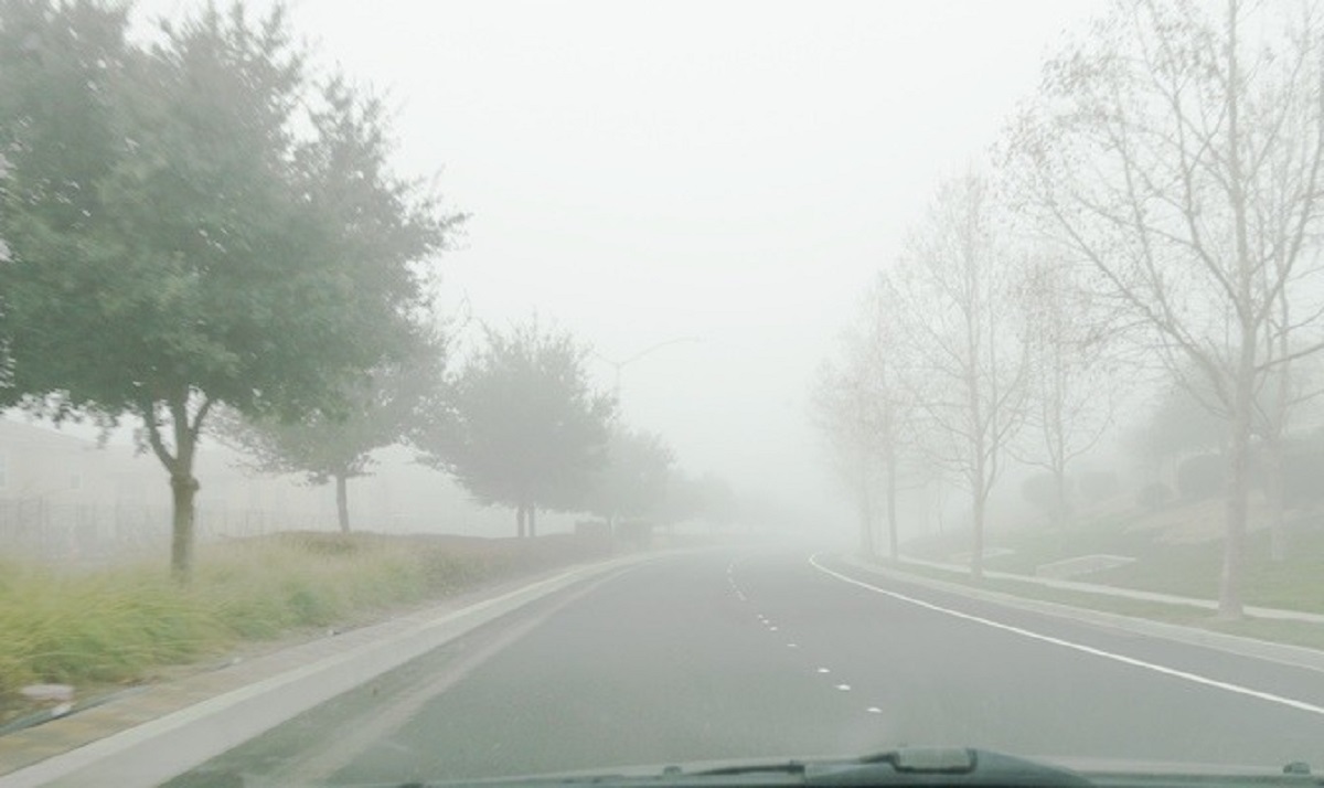 ঘন কুয়াশায় ঢাকা জলপাইগুড়ি শহর