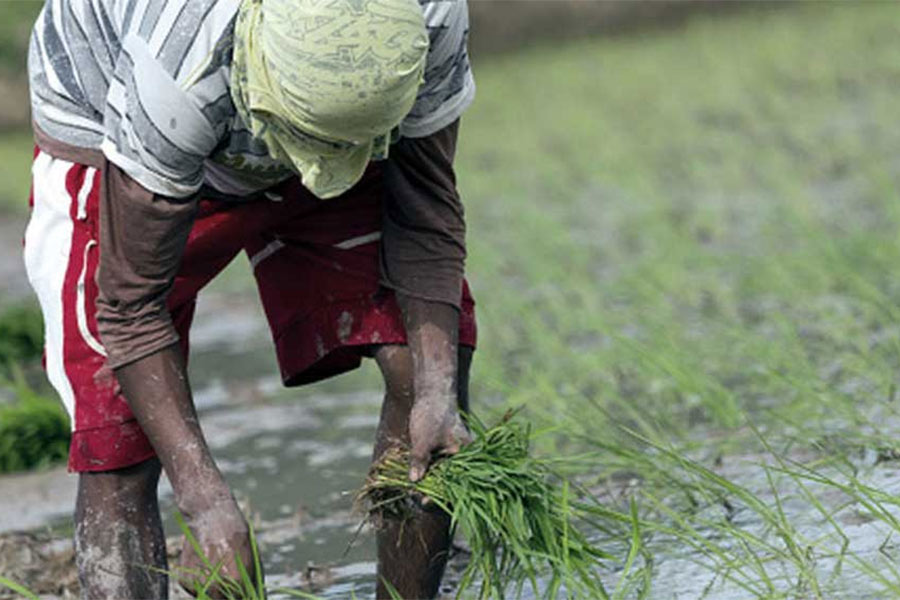 কিস্তির টাকা পেতে চলেছে কৃষকরা