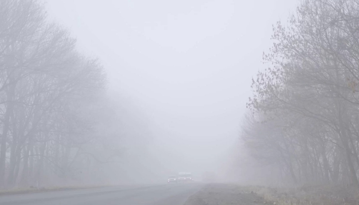 কনকনে ঠান্ডা ও কুয়াশায় বিপর্যস্ত উত্তরবঙ্গ, জনজীবন স্তব্ধ