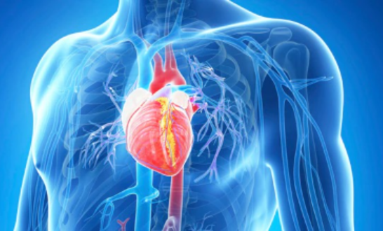 গর্ভকালীন ডায়াবেটিসের পরে স্বাস্থ্যকর অভ্যাস হৃদরোগের ঝুঁকি কমায়