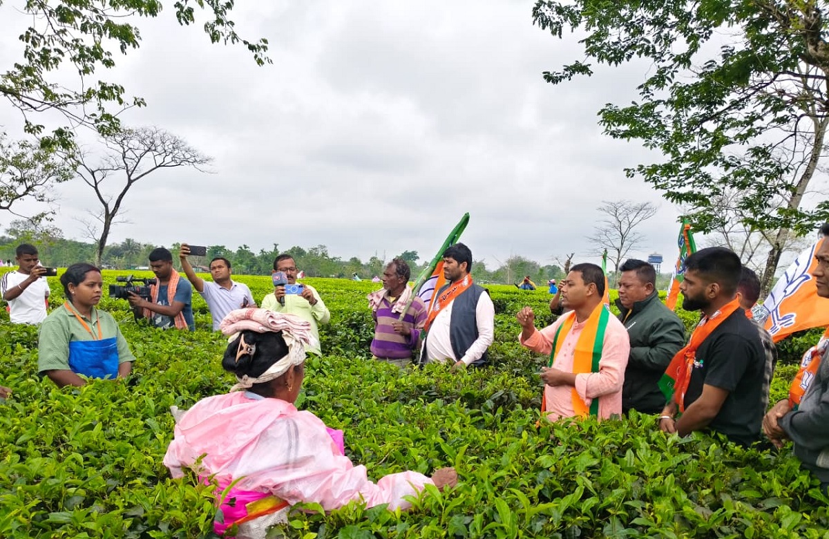 মাটিগাড়া-নকশালবাড়িতে প্রচারের ঝড়, চা শ্রমিকদের কাছে বিজেপি প্রার্থী আনন্দময় বর্মন